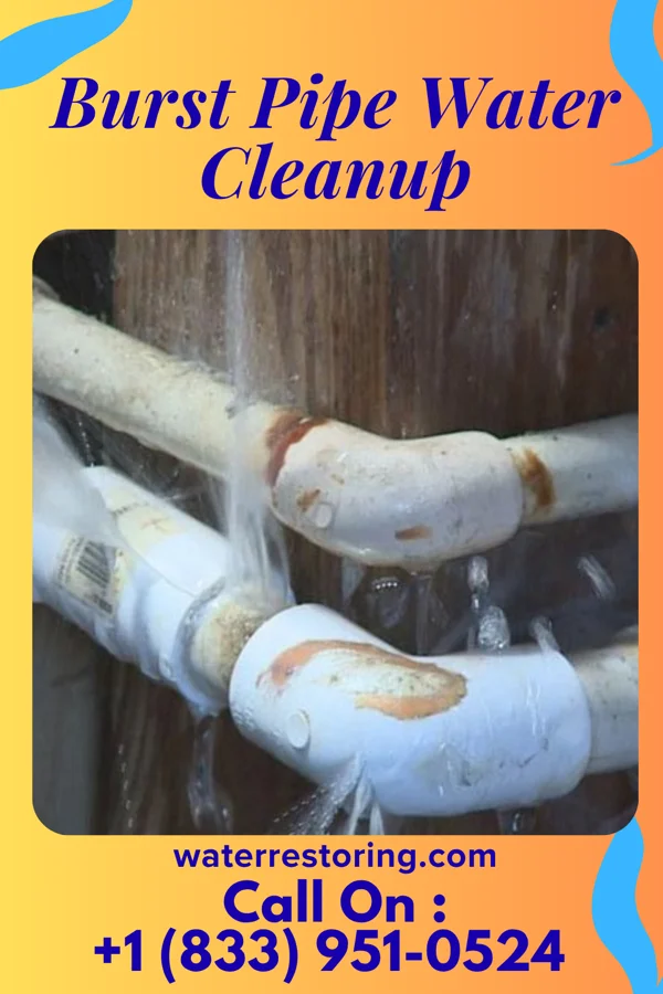 Burst Pipe Water Cleanup in Pascagoula, MS