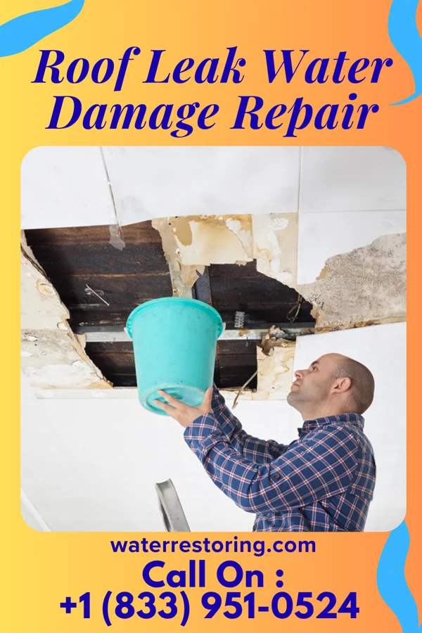 Roof Leak Water Damage Repair in Pascagoula, MS
