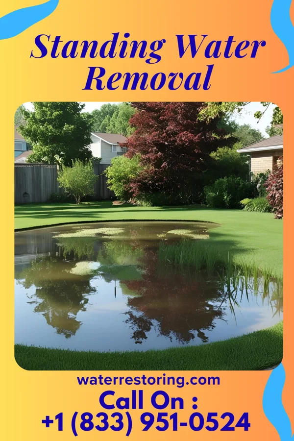 Standing Water Removal in Pascagoula, MS